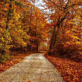 Country Road In Autumn