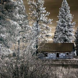 Cozy Cabin ... by Judy Foote-Belleci