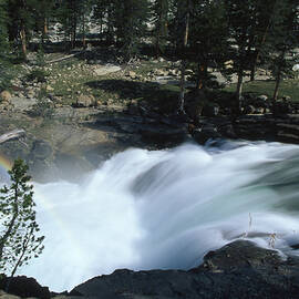 Creation Creek by Soli Deo Gloria Wilderness And Wildlife Photography