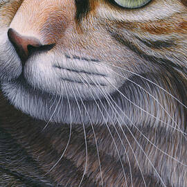 Cropped Cat 2 by Carol Wilson