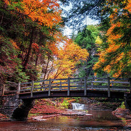 Crossing Over by Mark Papke