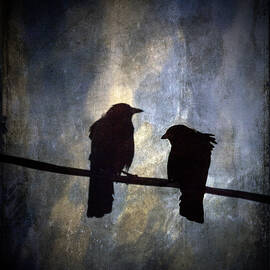 Crows and Sky Reflections by Carol Leigh