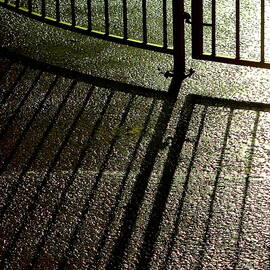 Curved Gate Shadow by Bonnie See