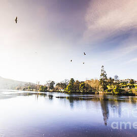 Derwent River reflections by Jorgo Photography