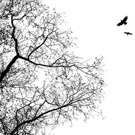 Design 24 black white by Lucie Dumas