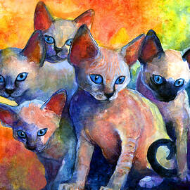 Devon Rex kitten cats by Svetlana Novikova