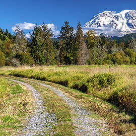 Dirt Road to MT Rainier by Rob Green