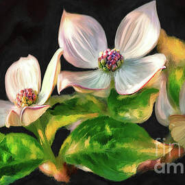 Dogwood Blossoms On A Branch by Lois Bryan