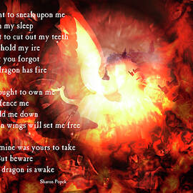 Dragon Fire by Sharon Popek