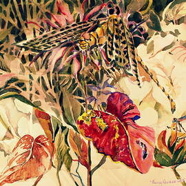 Dragonflies by Mindy Newman