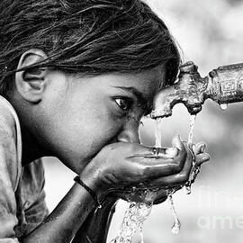 Drinking Water by Tim Gainey