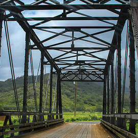 Driving Over Hanalei Bridge by Bonnie Follett