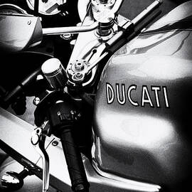 Ducati PS1000LE Motorcycle  by Tim Gainey