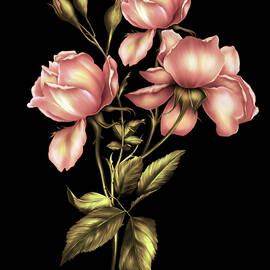 Dusky Peach Roses On Black by Georgiana Romanovna