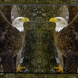 Eagle Totem Eyes by LeeAnn McLaneGoetz McLaneGoetzStudioLLCcom