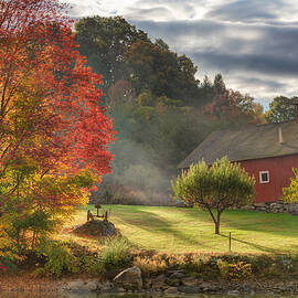 Early Autumn Morning by Bill Wakeley