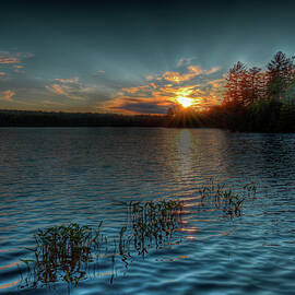 Early Evening at Nicks Lake by David Patterson