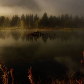 Early Morning at Beaver Pond