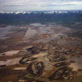 Earth's Kidneys by Ryan Manuel