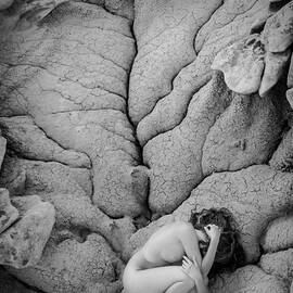 Earth's Womb by Inge Johnsson