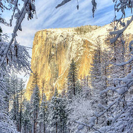 El Capitan Winter Majesty Yosemite National Park by Wayne Moran