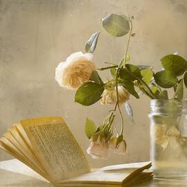 Enjoying A Rainy Day by Delphine Devos