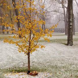 Fairwell Autumn    First Snowfall    Indiana by Rory Cubel