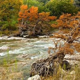 Fall colors along the Pedernales River by Mark Weaver