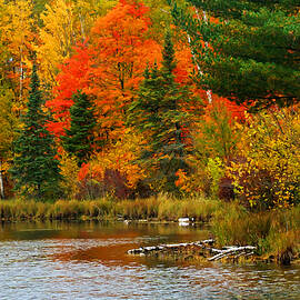 Fall Comes to Burns Lake by Bill Morgenstern