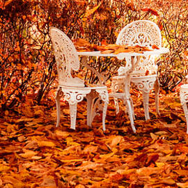 Fall in the Garden by Maggie Terlecki