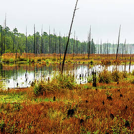 Fall Lake Landscape by Louis Dallara