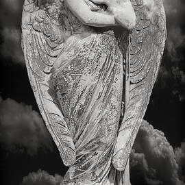 Fallen Angel