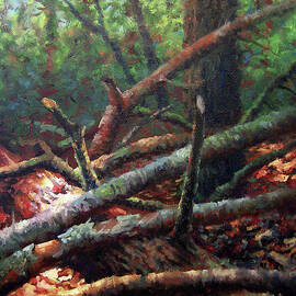 Fallen Oak by Timothy Jones
