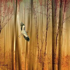 Fantasy Flight by Jessica Jenney