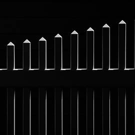 Fence Impression by Dan Zarate