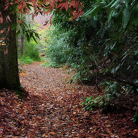 Finding My Way by Michael Eingle
