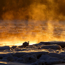 Fire and Ice - Arctic Cape Cod by Dianne Cowen Cape Cod Photography