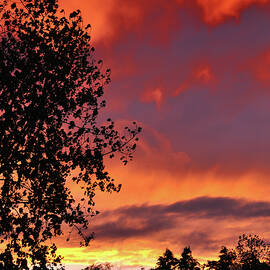 Fire In The Sky 2 by Frank Mari