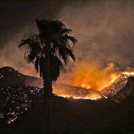 Fire on the Mountain by Bonnie See