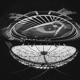 Fish Eye View Of The Astrodome Aka The by Everett
