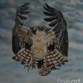 Fleck the Osprey  by Bob Williams