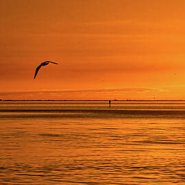Flight At Sunset by Christopher Holmes