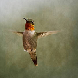 Fly Free Hummer by Bill and Linda Tiepelman