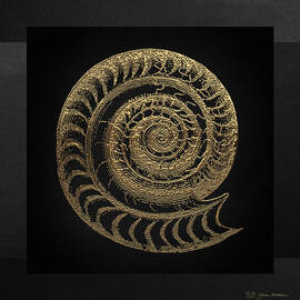Fossil Record - Golden Ammonite Fossil on Square Black Canvas # by Serge Averbukh