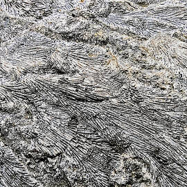 Fossil Rock Abstract 10 by Bob Slitzan