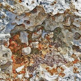 Fossil Rock Abstract 9 by Bob Slitzan