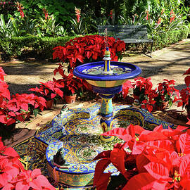 Fountain at the Pinewood Estate