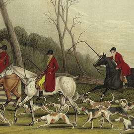 Fox Hunting going into Cover by Henry Thomas Alken