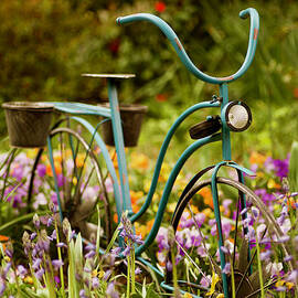 Garden Bicycle II by Rachel Morrison