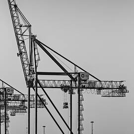 Global Containers Terminal Cargo Freight Cranes BW by Susan Candelario